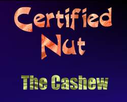 Certified Nut: The Cashew